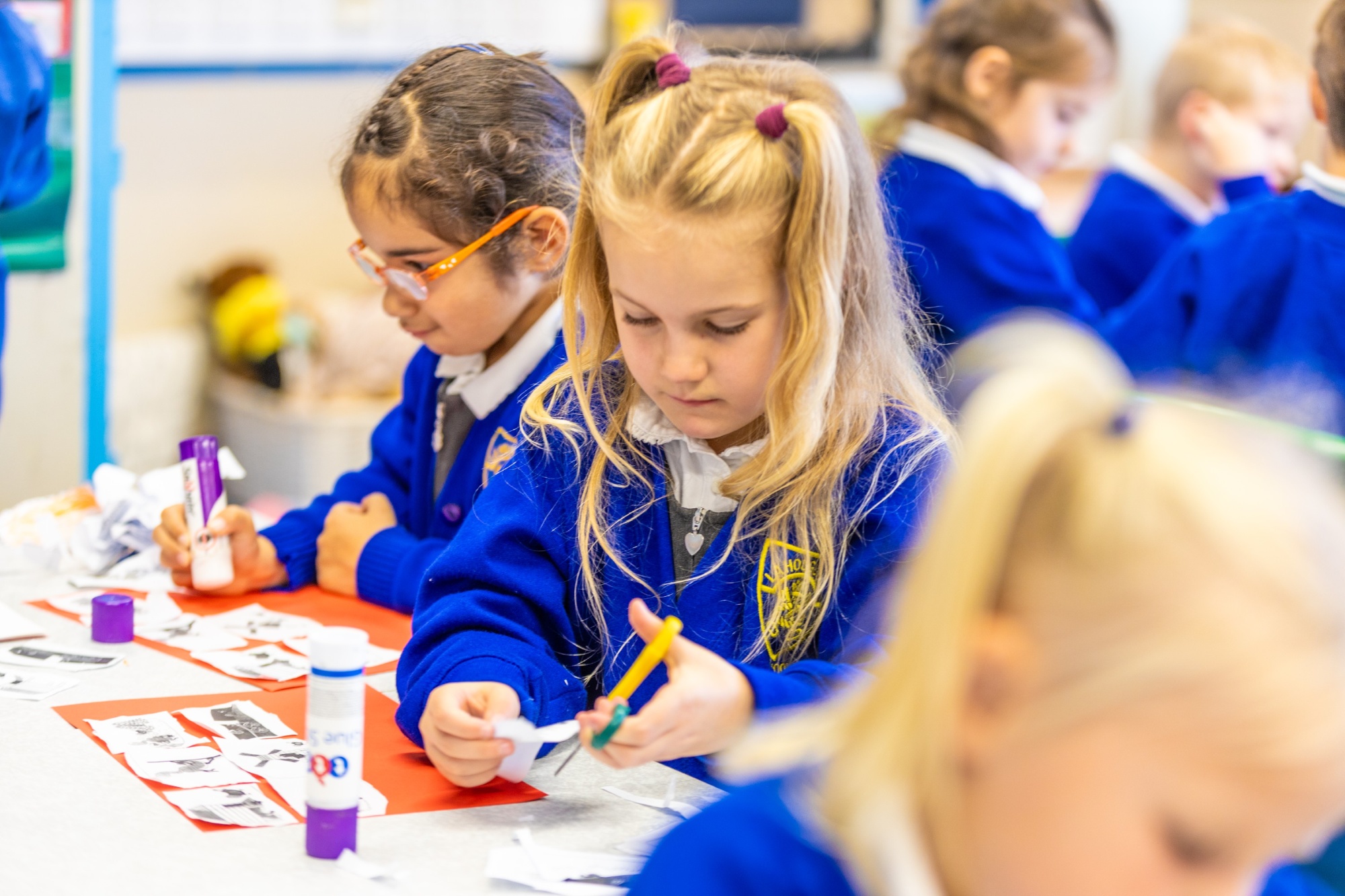 Curriculum image